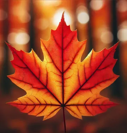 OnlyFans cuenta thiscanadianguy avatar 1
