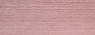 OnlyFans account  aly_jade header 2