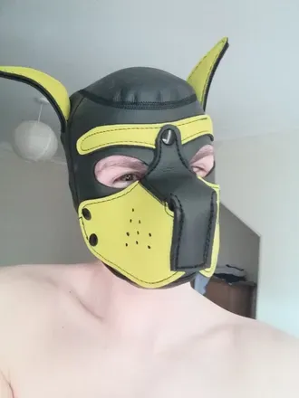 OnlyFans cuenta noobiepup avatar 1
