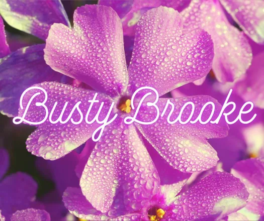 OnlyFans cuenta bustybrookevip header 2