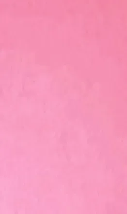 OnlyFans cuenta mollieannmae header 2