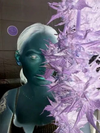 OnlyFans cuenta violet_storm_risque header 2