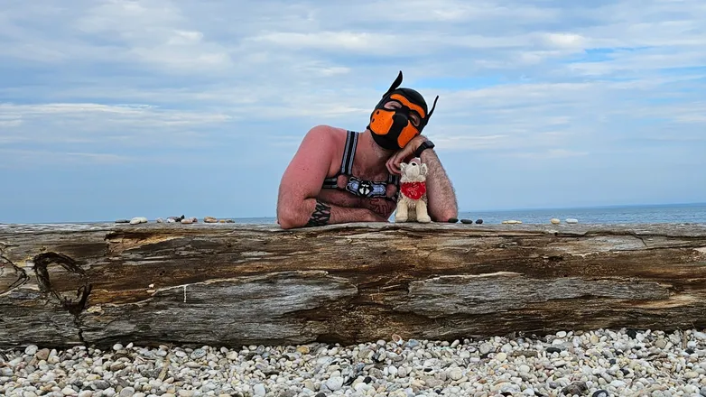 OnlyFans cuenta czar_puppy header 2