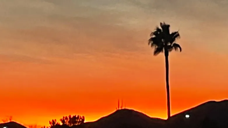 OnlyFans cuenta xxxav.strokes header 2