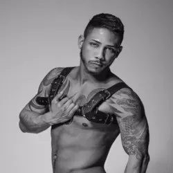 OnlyFans cuenta pegasus_studios avatar 1