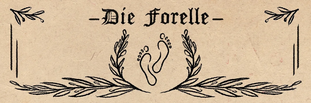 OnlyFans account  dieforelle header 2