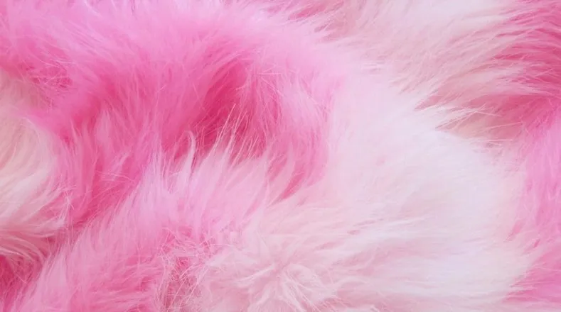 OnlyFans cuenta serenavaltierra header 2