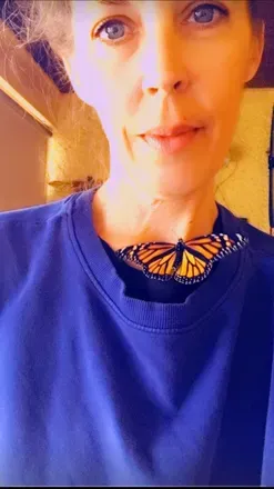 OnlyFans cuenta citybutterfly avatar 1