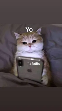 OnlyFans cuenta obey_lucio1 header 2