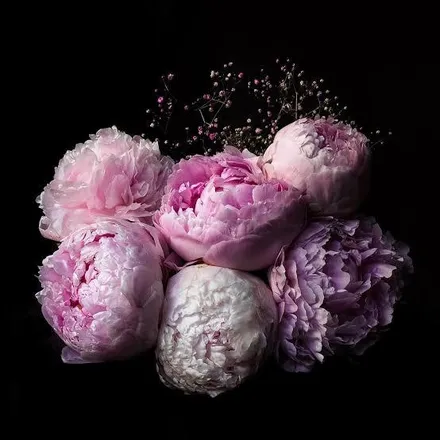 OnlyFans cuenta mrstiffanybloom header 2