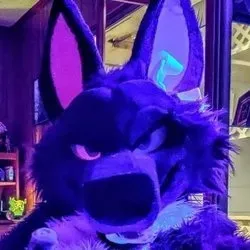OnlyFans cuenta purplehuskymurr avatar 1