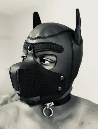OnlyFans cuenta purplechaosmix avatar 1
