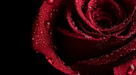 OnlyFans account  redboneszn header 2