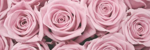 OnlyFans cuenta briella_bella404 header 2