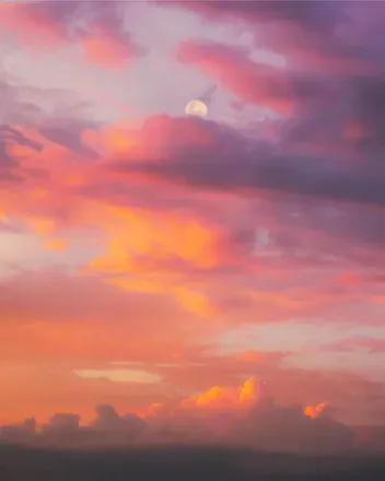 OnlyFans cuenta f0rest_fairy header 2
