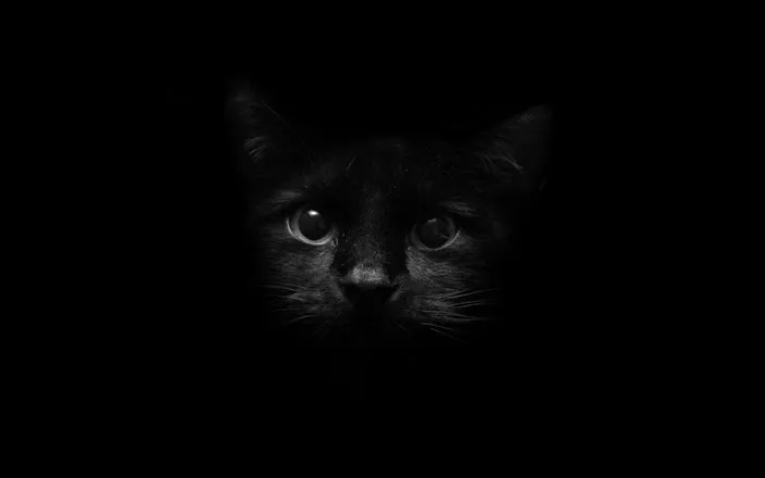 OnlyFans account  theblackcat21 header 2