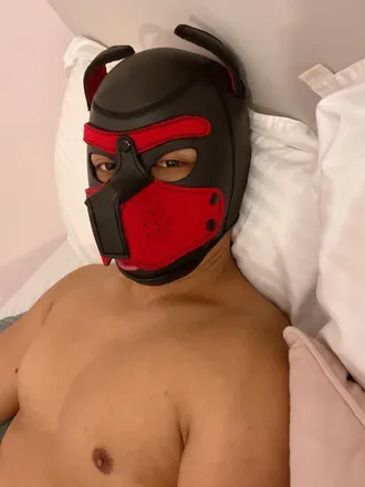 OnlyFans cuenta bazzibazzi avatar 1