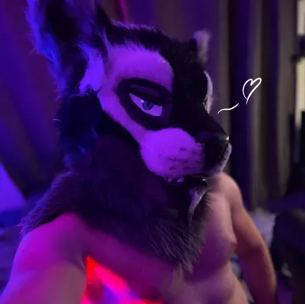 OnlyFans cuenta wolfonoodz avatar 1