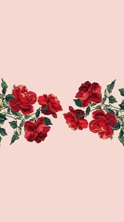 OnlyFans cuenta kaarolhc header 2