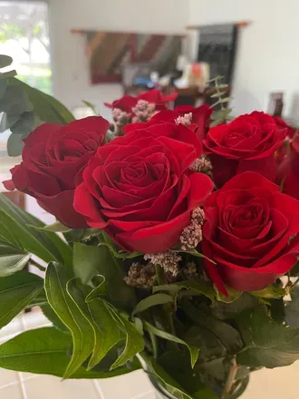 OnlyFans cuenta miss.jvdb header 2