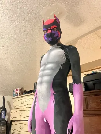 OnlyFans cuenta bruce_pup2000 avatar 1