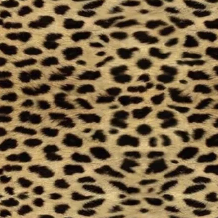 OnlyFans account  rockshow header 2