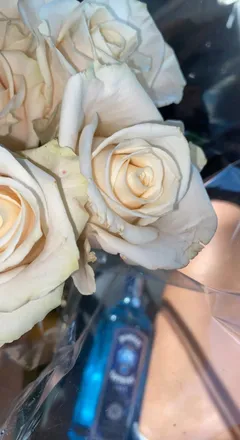 OnlyFans cuenta kgrace_xoxo header 2