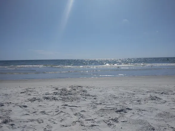 OnlyFans cuenta kendrabeach header 2