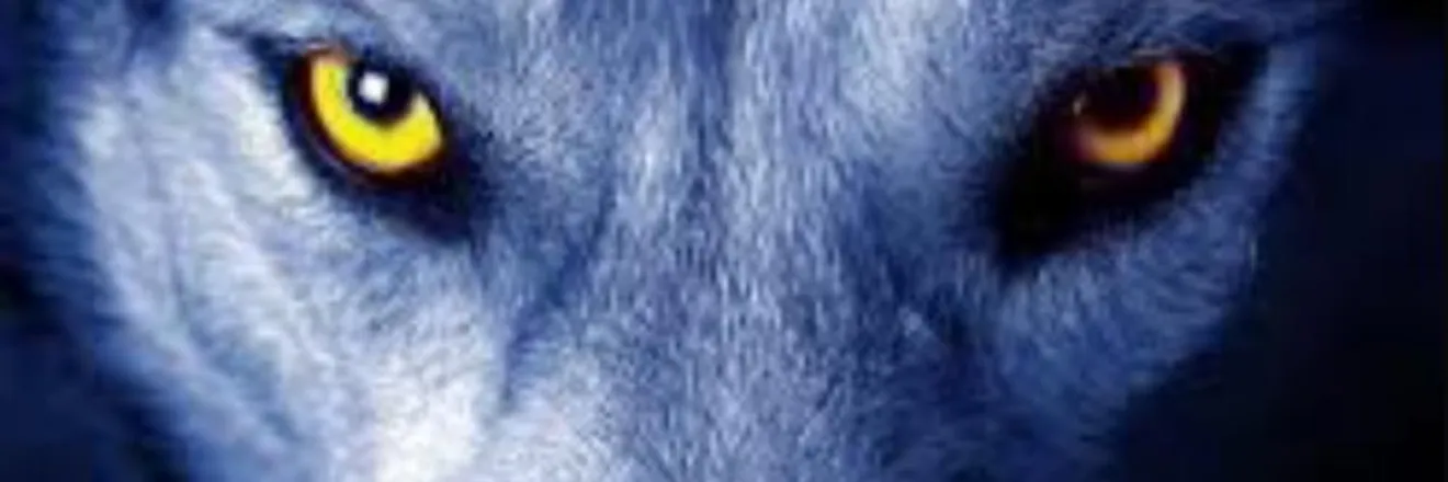 OnlyFans cuenta nonverbal_jnc header 2