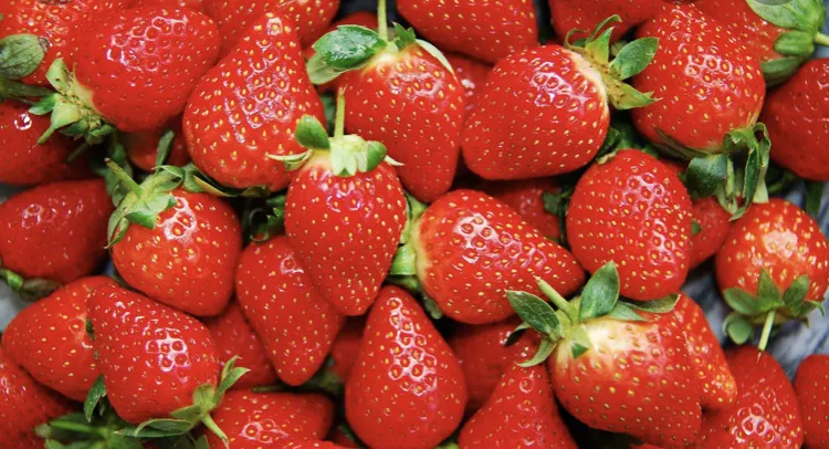 OnlyFans cuenta strawberrysnack header 2