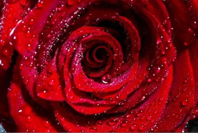 OnlyFans cuenta vannahsvip header 2