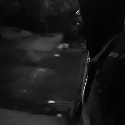 OnlyFans cuenta savageparkking header 2