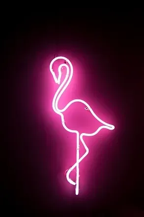 OnlyFans cuenta theotherspicyflamingo avatar 1