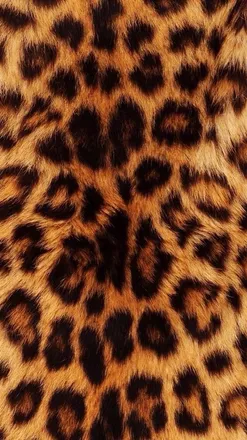 OnlyFans cuenta ainatrdzavl header 2