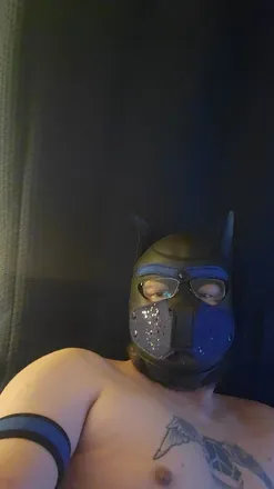 OnlyFans cuenta pup_augie header 2