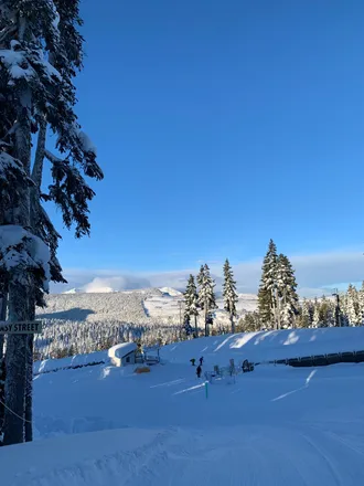 OnlyFans cuenta michellesummers88 header 2