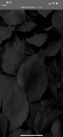 OnlyFans cuenta asuna.official header 2