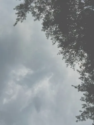 OnlyFans account  nirselenite header 2