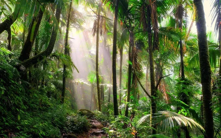 OnlyFans cuenta playwithtarzan header 2