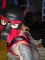 OnlyFans cuenta scruffpup_and_such avatar 1