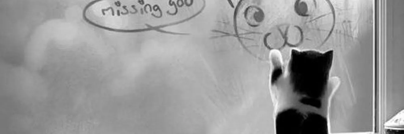 OnlyFans cuenta othersideofgrey header 2