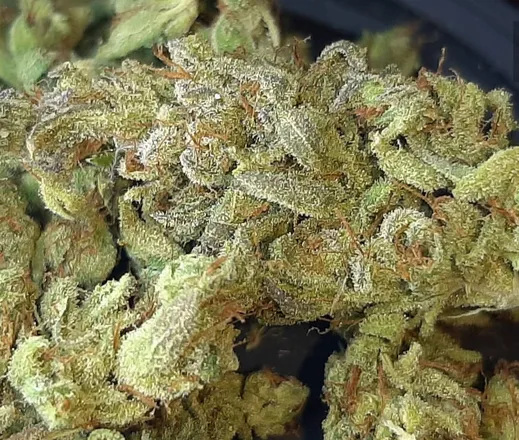 OnlyFans cuenta bigm420 header 2