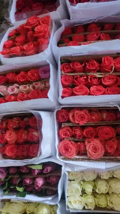 OnlyFans cuenta naye_09 header 2