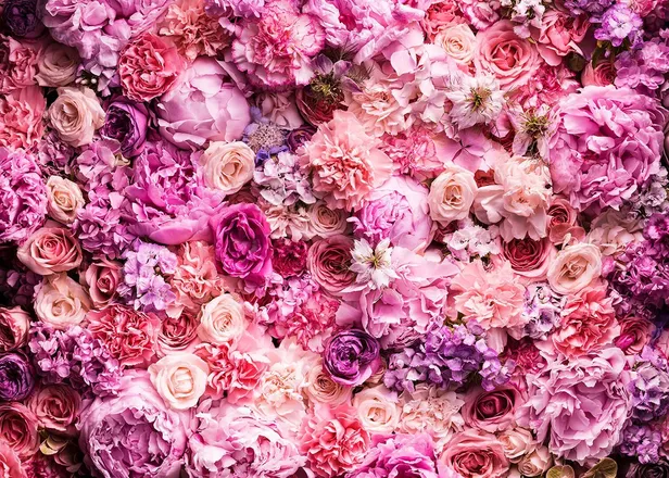 OnlyFans cuenta missydiana header 1