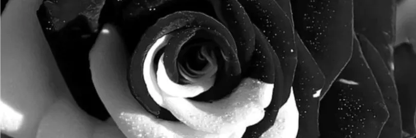 OnlyFans cuenta sitke_sparkles header 2