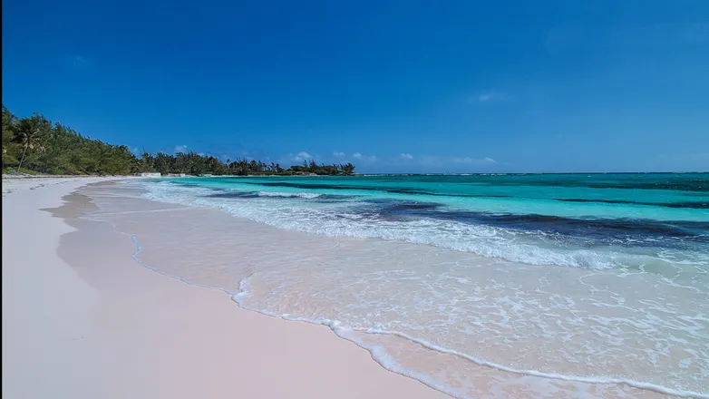 OnlyFans cuenta ocean779 header 2