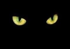 OnlyFans cuenta sexkitten669 header 2