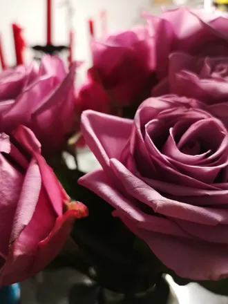 OnlyFans cuenta ellieaddams header 2