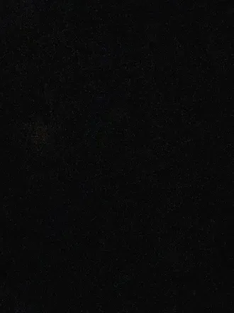 OnlyFans cuenta don_breeds header 2