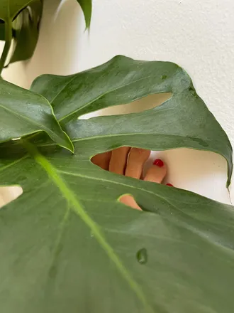 OnlyFans account  onlysole header 2